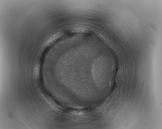 X0000111860735200907301130