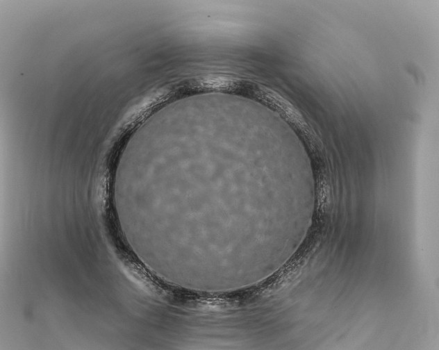 X0000111860736200907301130