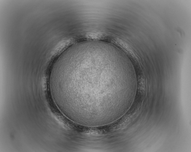 X0000111860738200907301130