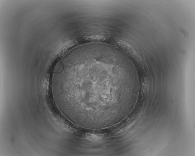 X0000111860739200907301130