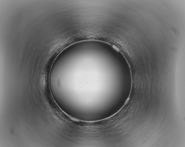 X0000111860740200907301130