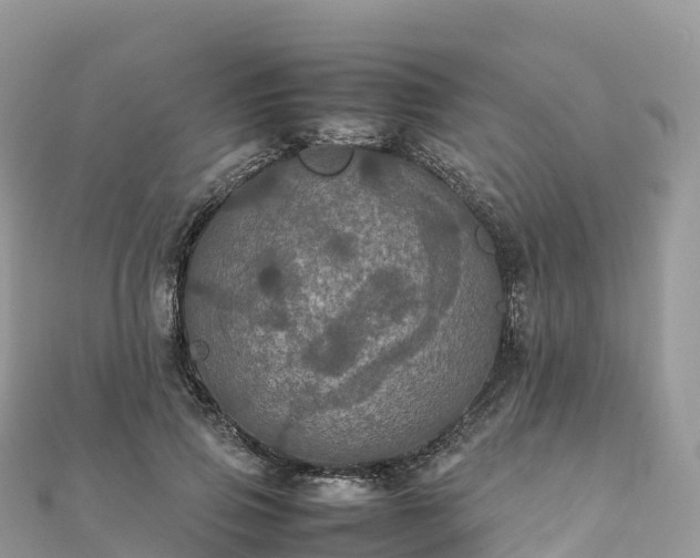 X0000111860741200907301130