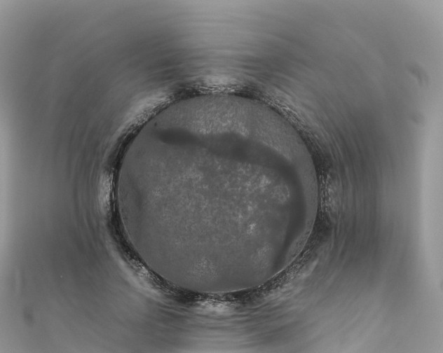 X0000111860742200907301130