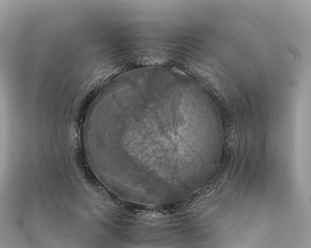 X0000111860743200907301130