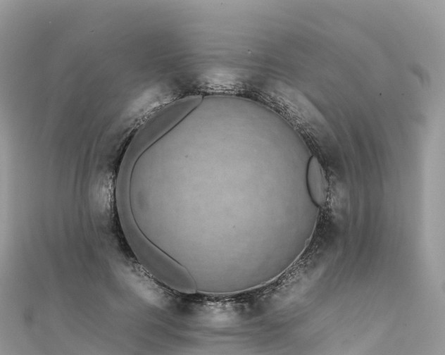 X0000111860744200907301130