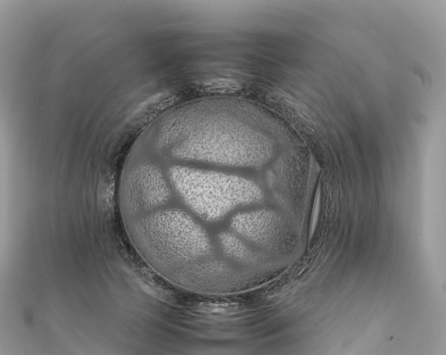 X0000111860745200907301130