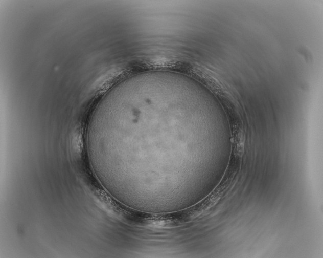 X0000111860746200907301130