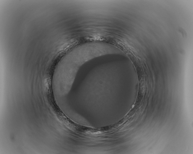 X0000111860747200907301131