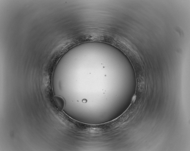 X0000111860748200907301131