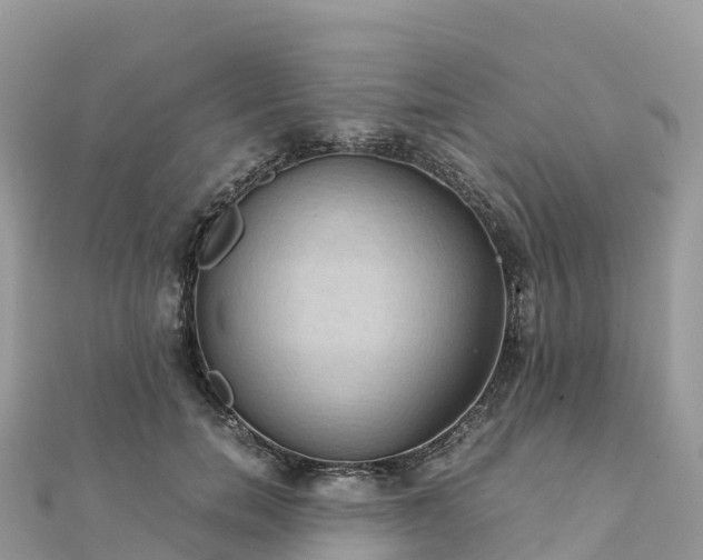 X0000111860750200907301131