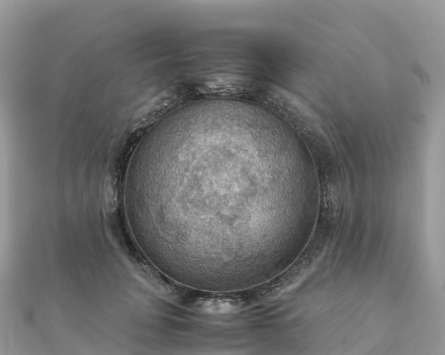 X0000111860751200907301131