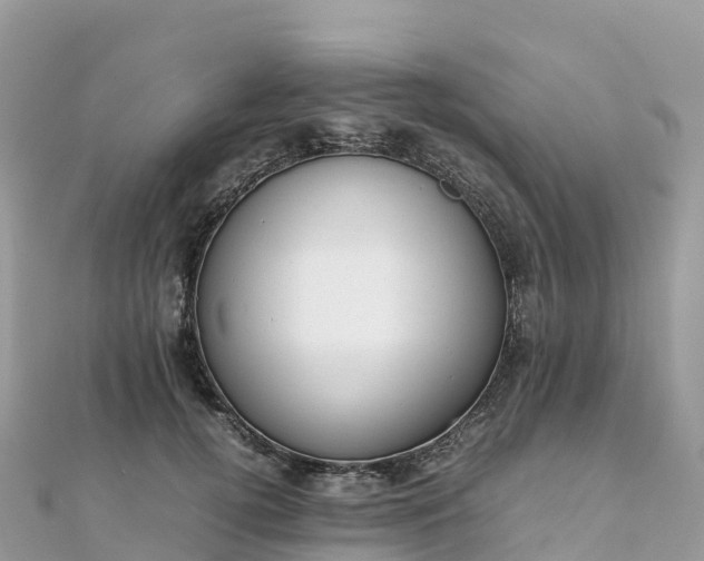 X0000111860752200907301131