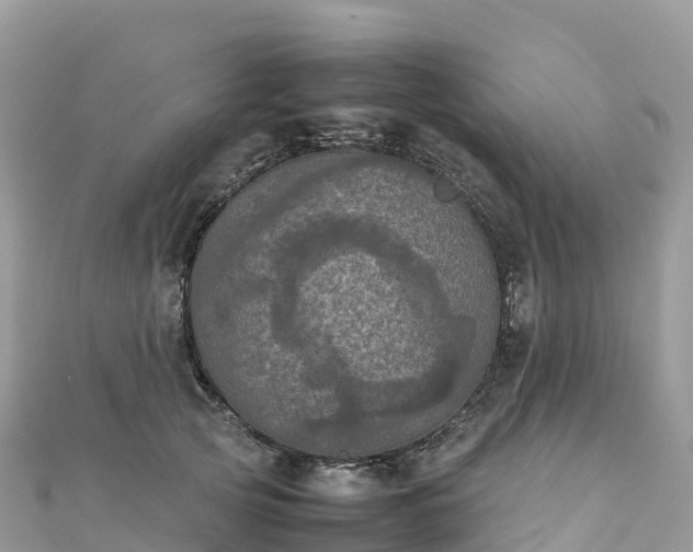 X0000111860753200907301131