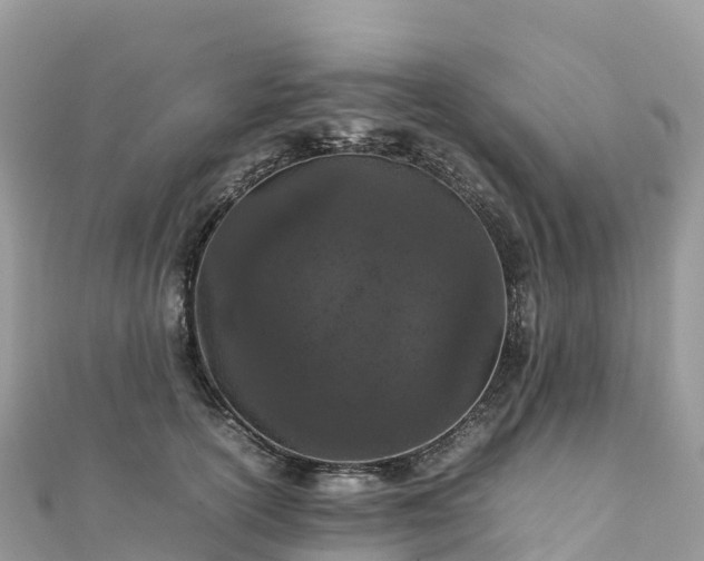 X0000111860754200907301131