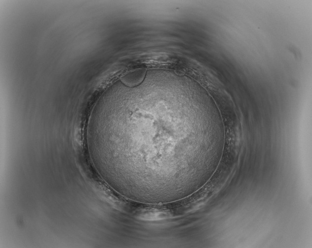 X0000111860755200907301131