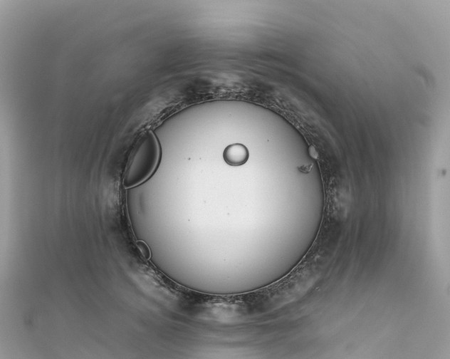 X0000111860756200907301131