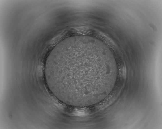 X0000111860757200907301131