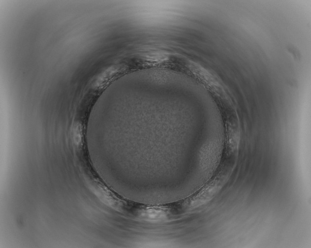 X0000111860758200907301131