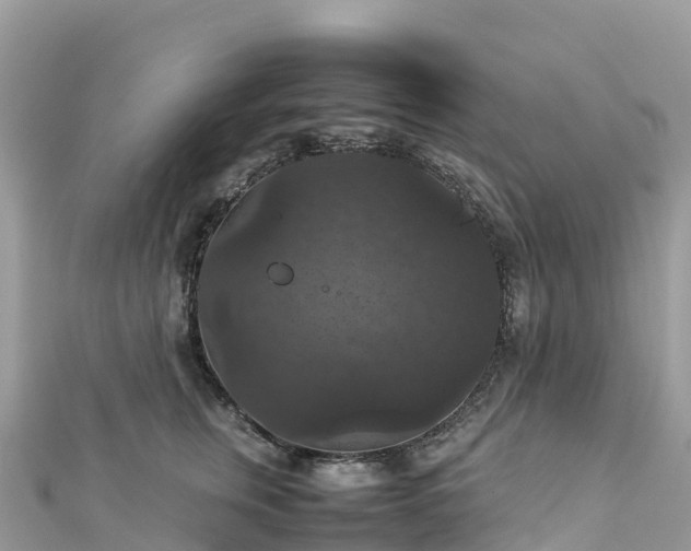 X0000111860759200907301131