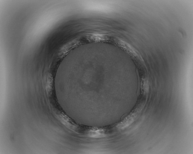 X0000111860760200907301131