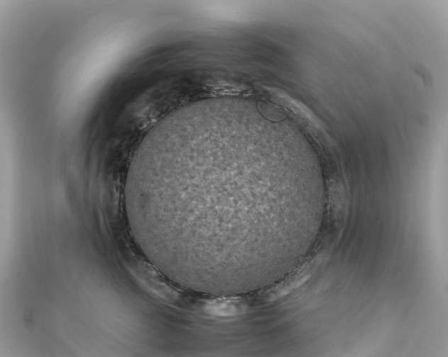 X0000111860761200907301131