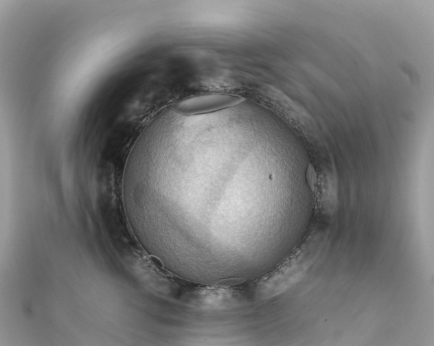 X0000111860762200907301131