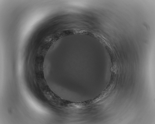 X0000111860763200907301131