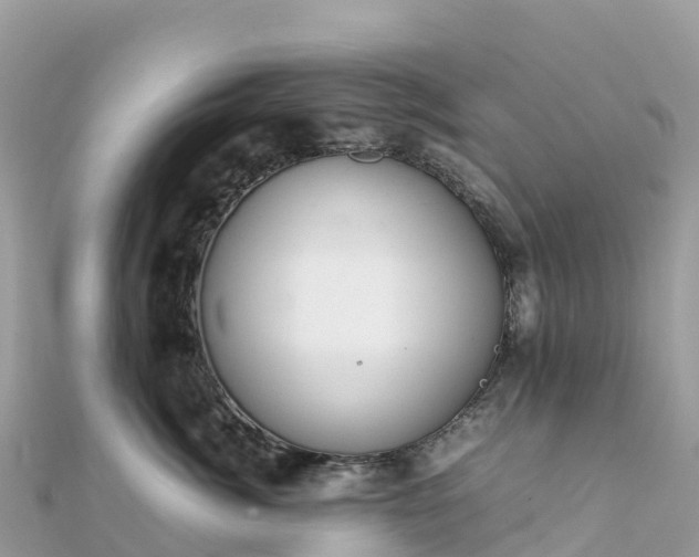 X0000111860764200907301131