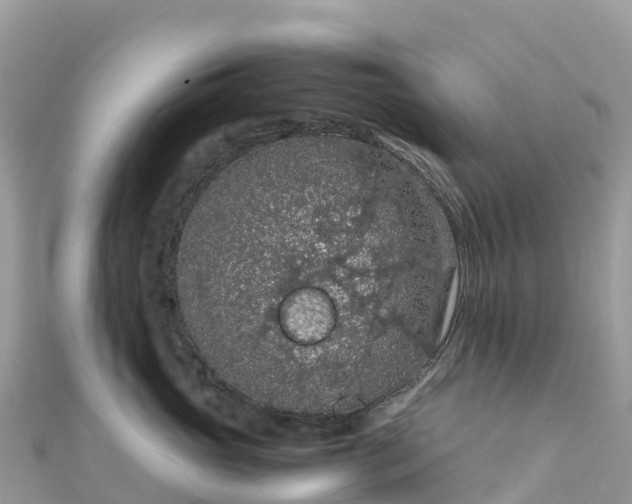 X0000111860765200907301131