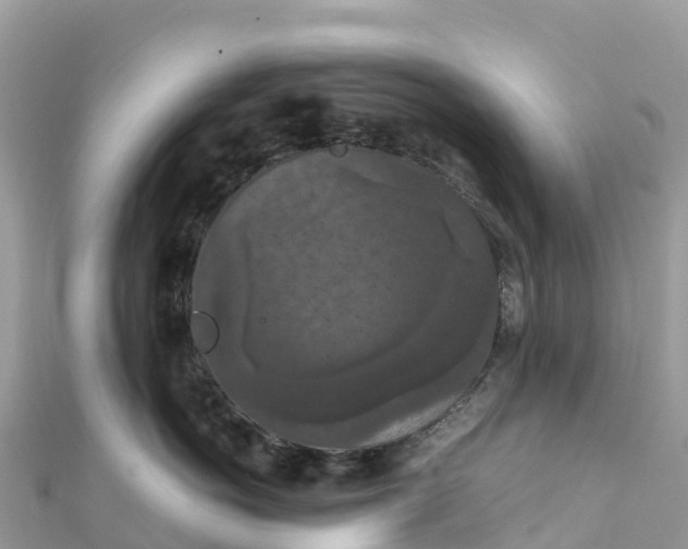 X0000111860766200907301131