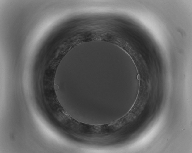 X0000111860767200907301131