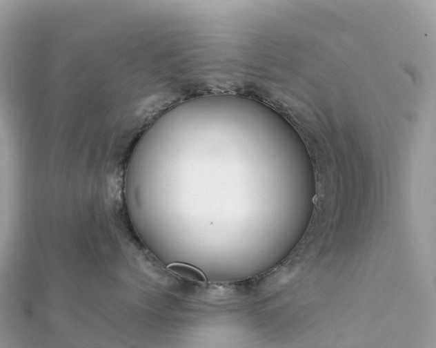 X0000111860768200907301131