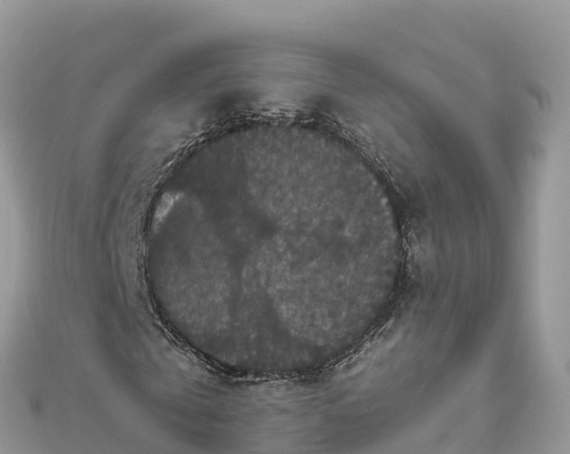 X0000111860769200907301130