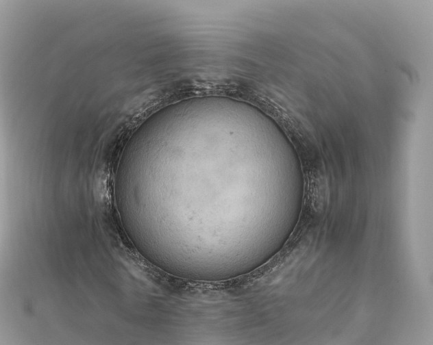 X0000111860770200907301130