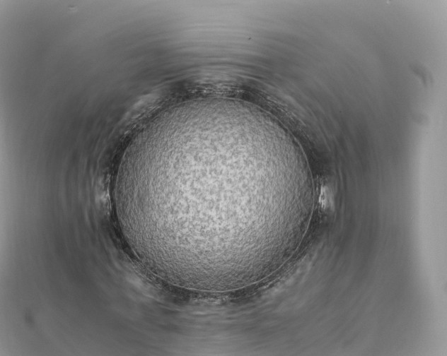 X0000111860771200907301130