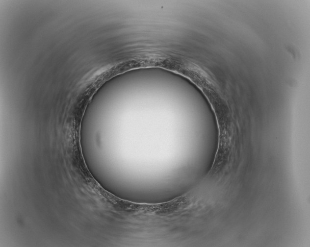 X0000111860773200907301130