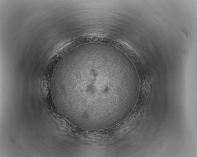 X0000111860774200907301130