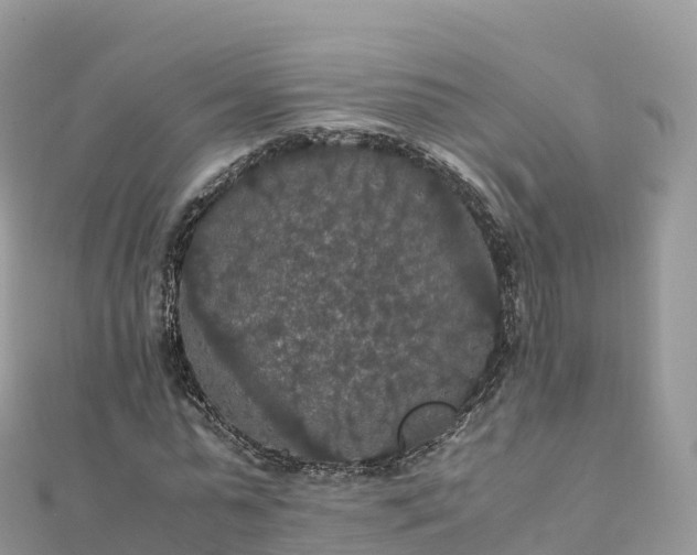 X0000111860775200907301130