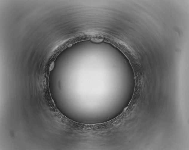 X0000111860776200907301130