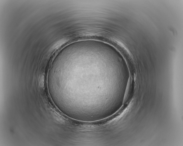 X0000111860777200907301130