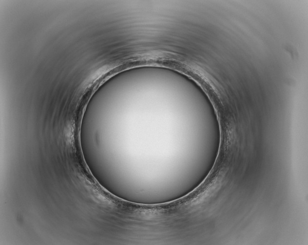 X0000111860778200907301130