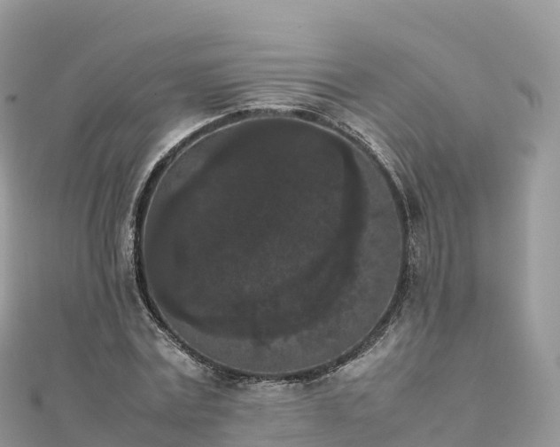 X0000111860779200907301130