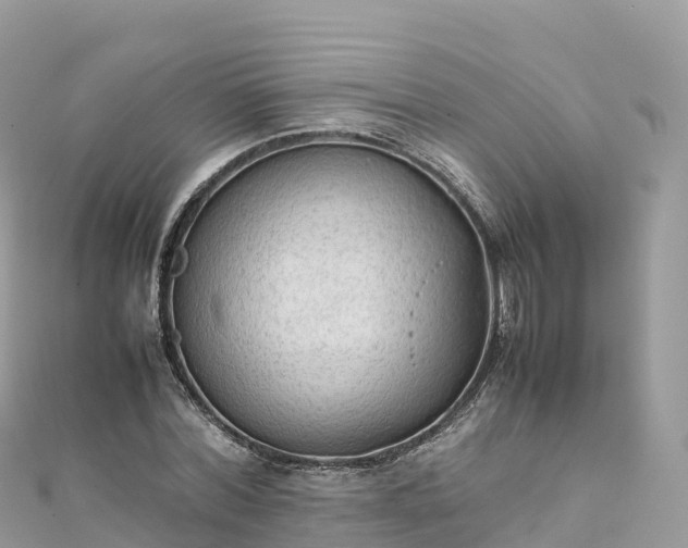 X0000111860780200907301130