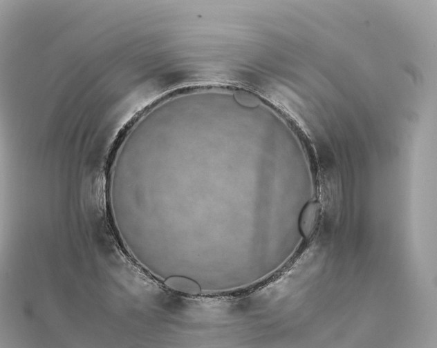 X0000111860781200907301130