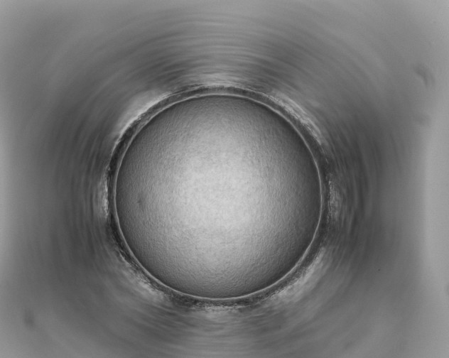 X0000111860782200907301130