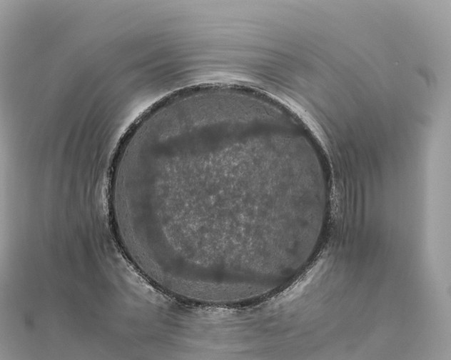 X0000111860783200907301130