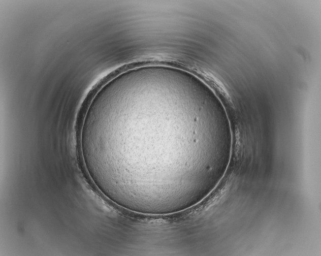 X0000111860784200907301130