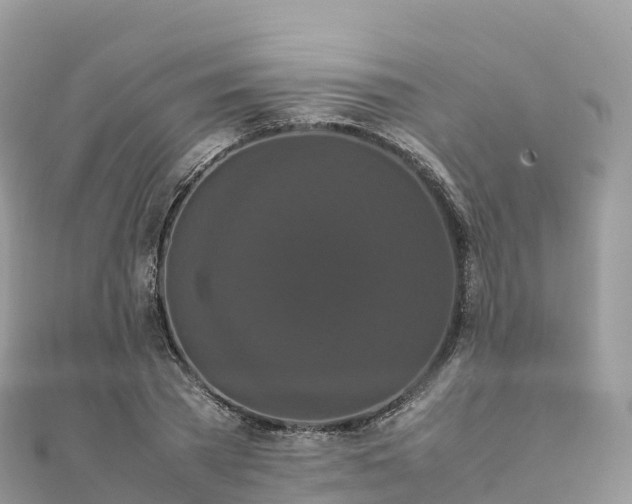 X0000111860785200907301130