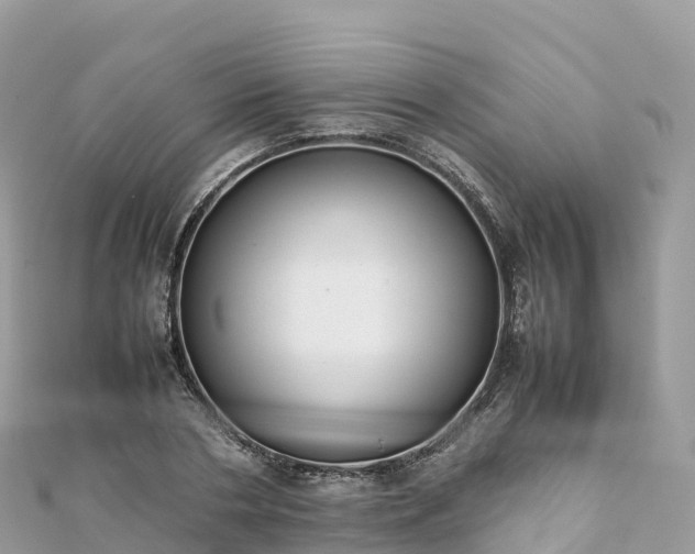 X0000111860786200907301130