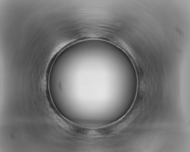 X0000111860787200907301130